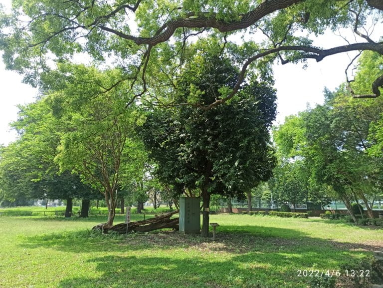 彰化縣政府列管之珍貴樹木