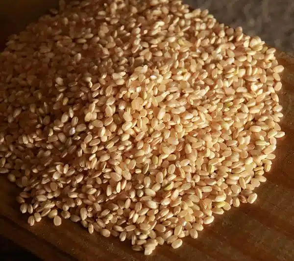 尚水糙米