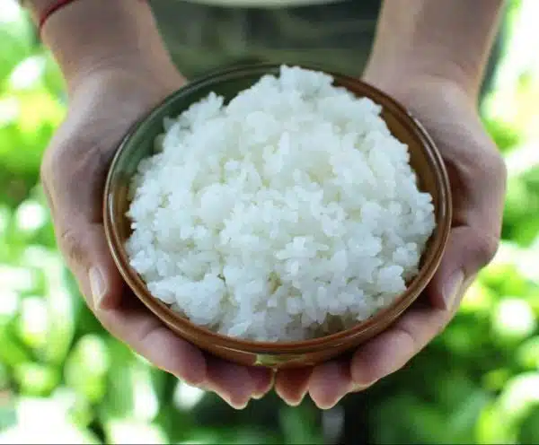 餐廳用米
