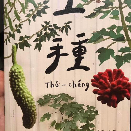土種 構樹 《土種》