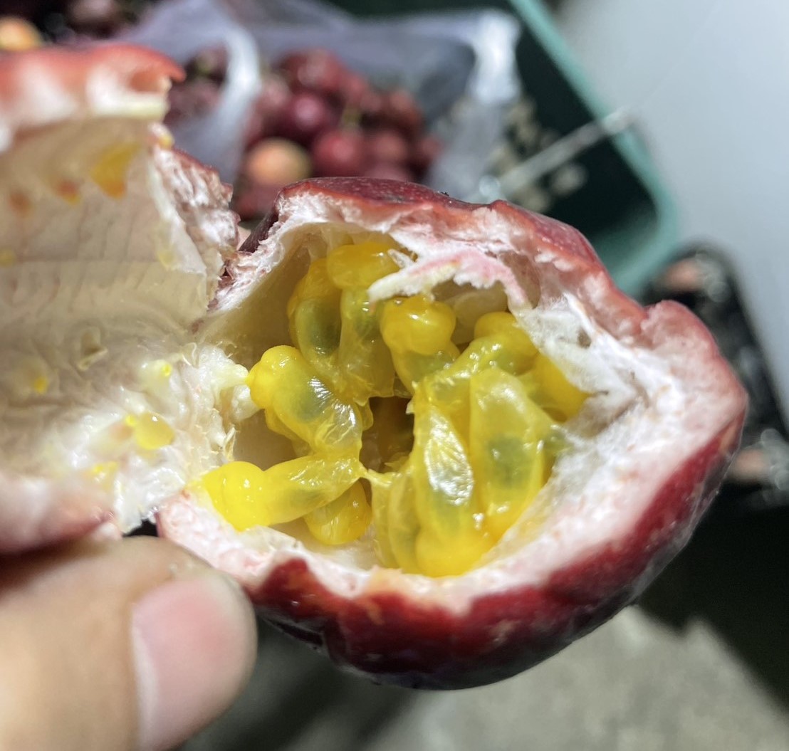 有機百香果:圖片 2