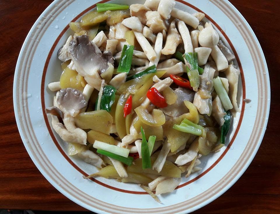 西瓜綿:圖片 3